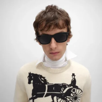 Black Frame 41 Sunglasses in Acetate