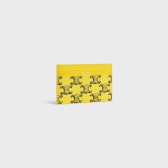 Card Holder in Triomphe Canvas and Calfskin