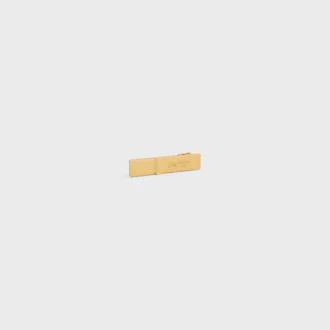 Celine Sulky Hair Clip in Brass with Gold Finish and Steel
