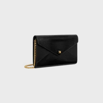 Envelope Wallet on Chain in Lizard