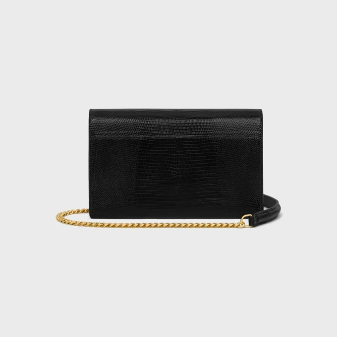 Envelope Wallet on Chain in Lizard Envelope Wallet on Chain in Lizard