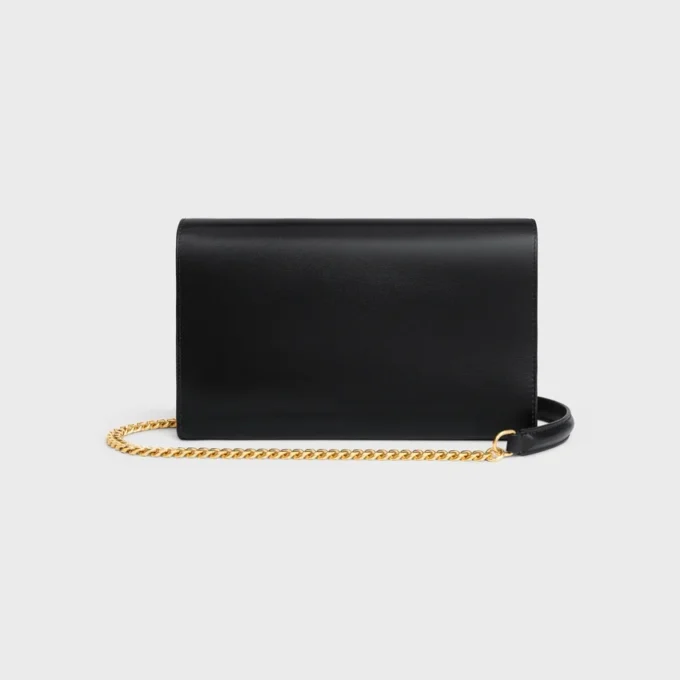 Envelope Wallet on Chain in Shiny Calfskin