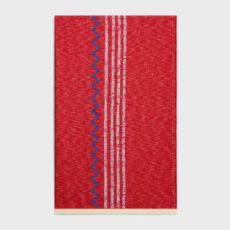 Fouta in Embroidered Cotton