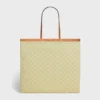 Large Flat Shopper in Triomphe Canvas