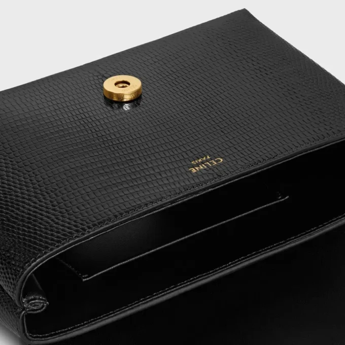Mini Celine Victoire in Lizard