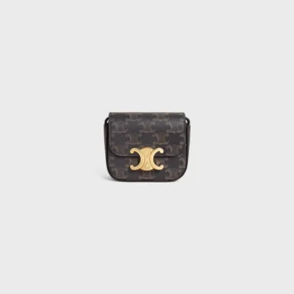 Mini Claude in Triomphe Canvas and Calfskin