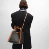 Small Cube Bag in Triomphe Canvas and Natural Calfskin Small Cube Bag in Triomphe Canvas and Natural Calfskin