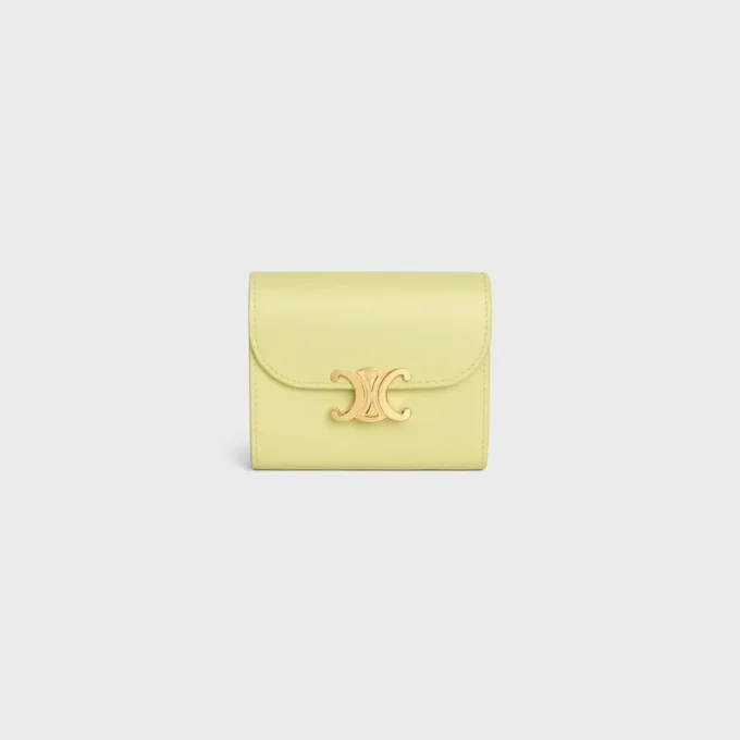 Small Flap Wallet Triomphe in Shiny Calfskin