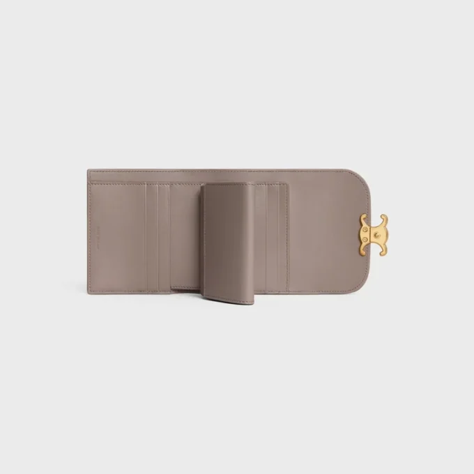 Small Flap Wallet Triomphe in Shiny Calfskin