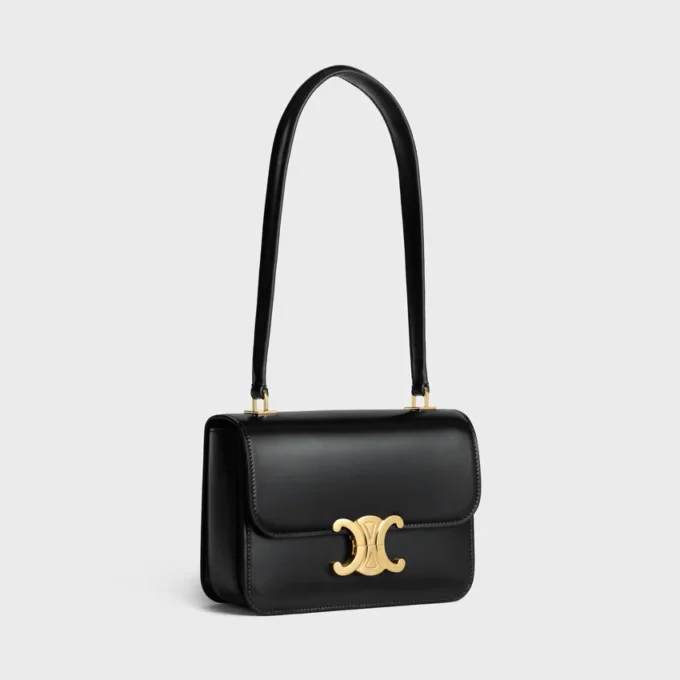 Teen Garance Bag in Shiny Calfskin
