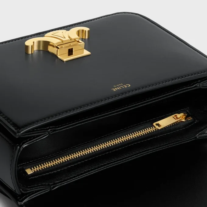 Teen Garance Bag in Shiny Calfskin