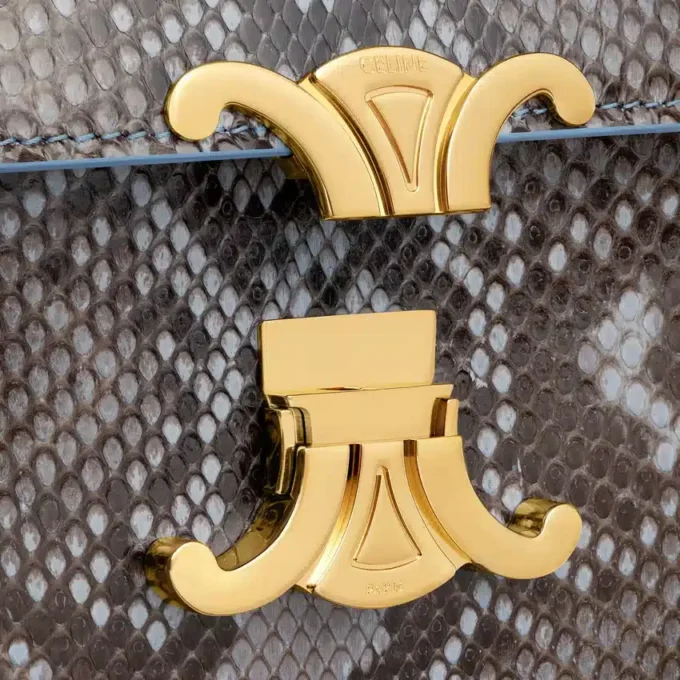 Teen Triomphe Bag in Python Patchwork