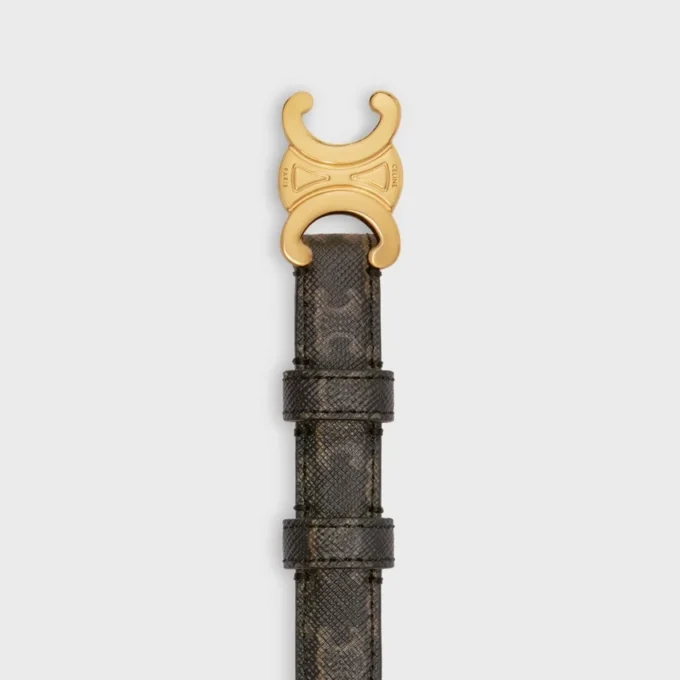 Triomphe Belt 18Mm in Triomphe Canvas
