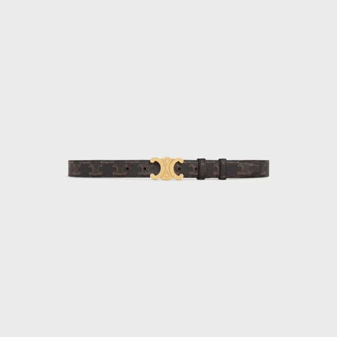 Triomphe Belt 25Mm  in Triomphe Canvas