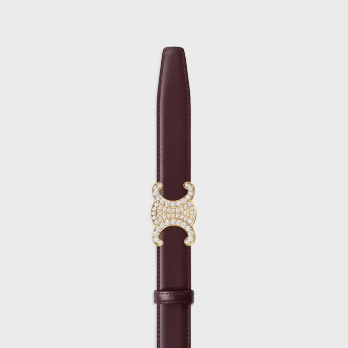 Triomphe Buckle & Reversible Strap 25Mm